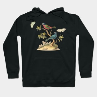 Birds & Butterflies Nature Illustration Hoodie